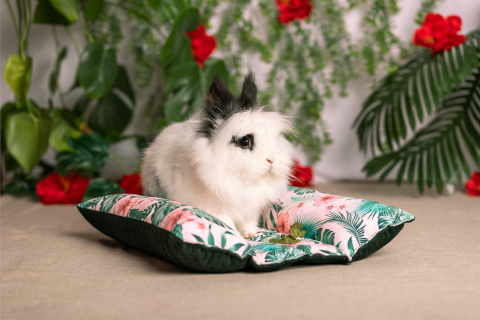 Hot-Dog pillow for rabbits, ferrets - rabbit accessories