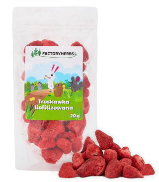 Factory Herbs Truskawka liofilizowana 20g - owoce dla królików, świnek morskich, szynszyli