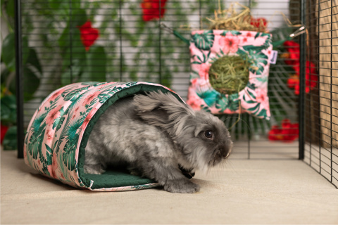 Semi-circular tunnel for guinea pigs, chinchillas, pygmy hedgehogs