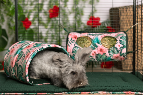 Semi-circular tunnel for guinea pigs, chinchillas, pygmy hedgehogs