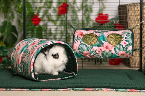 Semi-circular tunnel for guinea pigs, chinchillas, pygmy hedgehogs