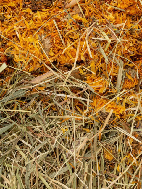 Vitapol Vita Herbal Hay with Marigold 800g Vitapol Vita Herbal Hay with Marigold 800g